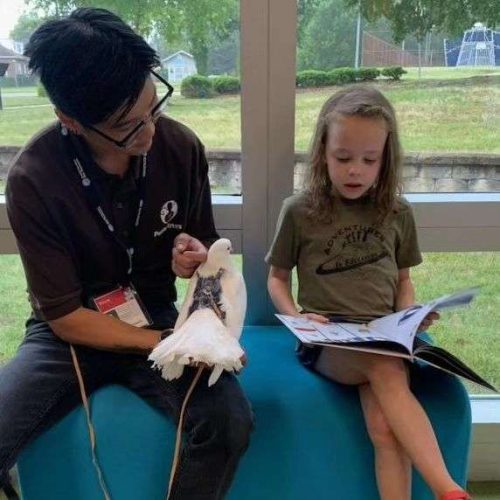 Children practicing their reading skill by practicing with therapy animals.