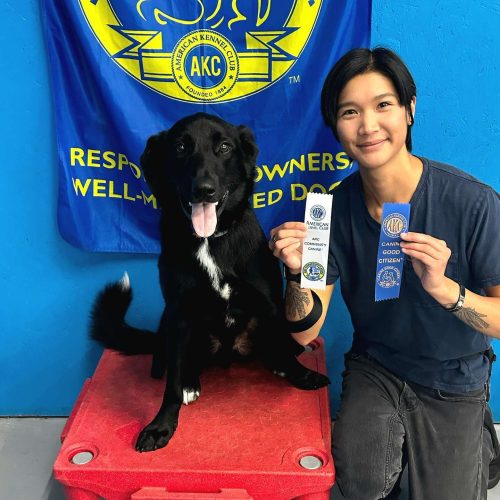 Getting AKC CGC & Community Canine Title on the same day