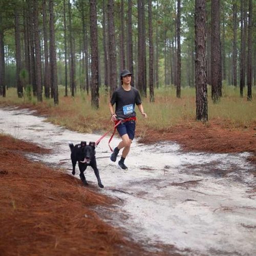 Placing 2nd in the Deerfly Trail Canicross 11k race.